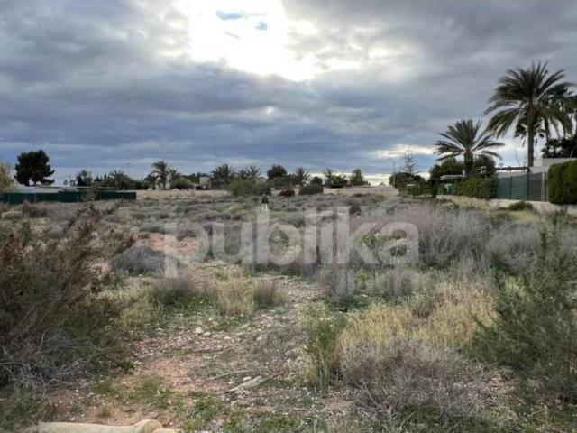 Terreno en venta en el Baix Vinalopó, Valencia