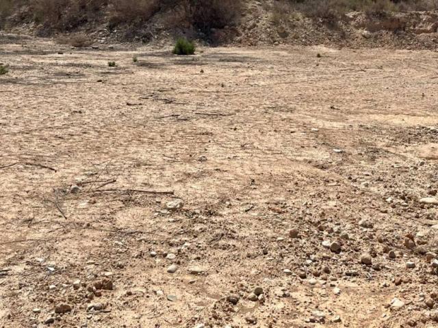 Terreno en venta en el Baix Vinalopó, Valencia