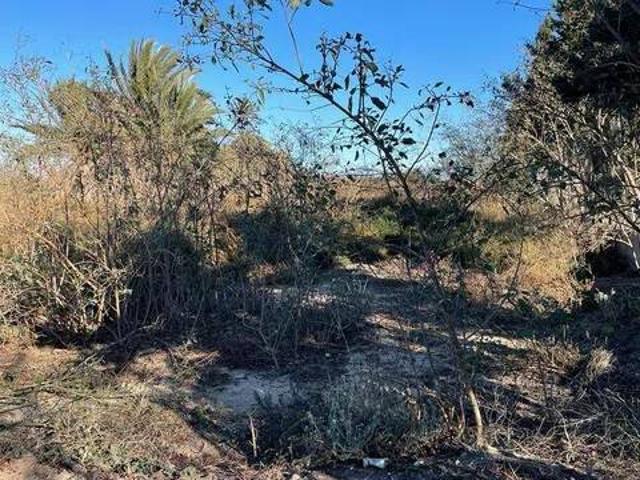Terreno en venta en Atzavares, el Baix Vinalopó