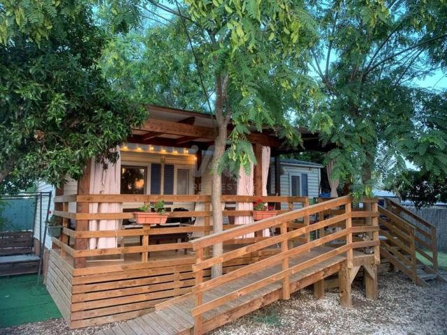 Terreno en venta en el Baix Vinalopó, Valencia