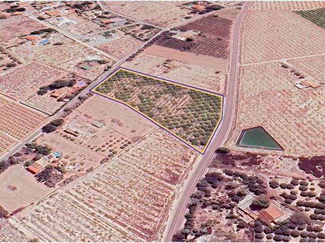 Terreno en venta en el Baix Vinalopó, Valencia