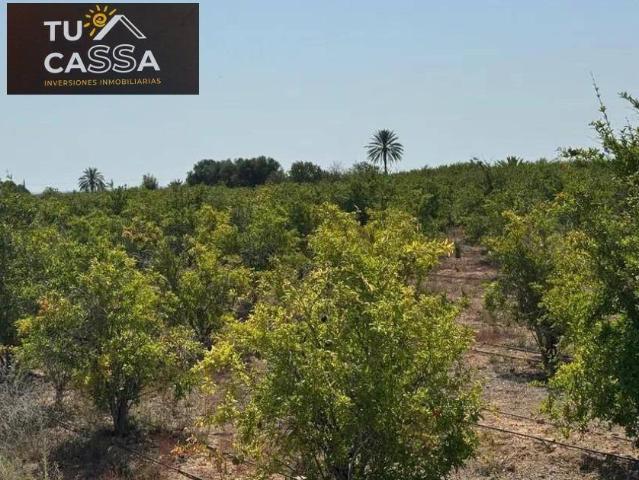 Terreno en venta en Elche