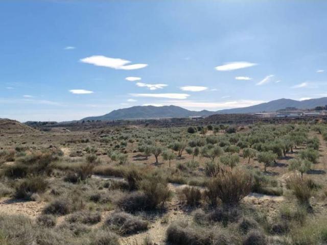 Terreno en venta en el Vinalopó Mitjà / El Vinalopó Medio, Valencia