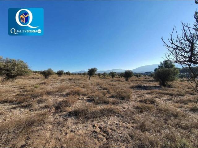 Terreno en venta en el Vinalopó Mitjà / El Vinalopó Medio, Valencia