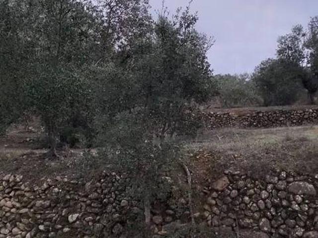 Terreno en venta en Priorat, Catalunya