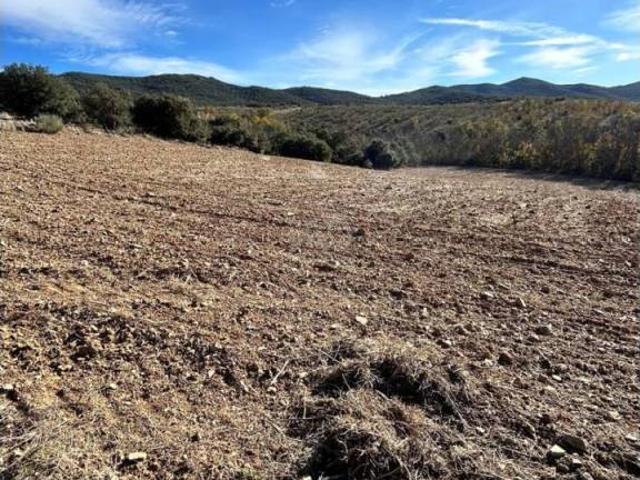 Terreno en venta en Campo de Cariñena, Aragón