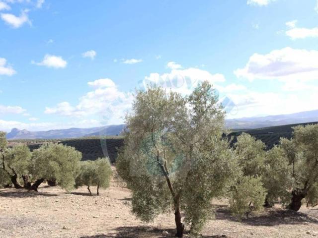 Terreno en venta en Encinas Reales, Andalucía