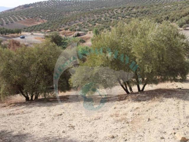 Terreno en venta en Encinas Reales, Andalucía
