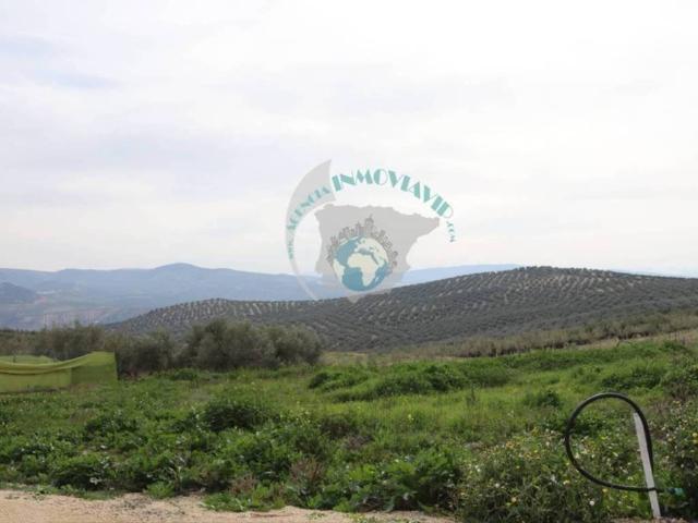 Terreno en venta en Encinas Reales, Andalucía