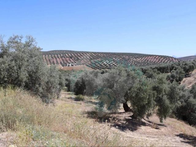 Terreno en venta en Encinas Reales, Andalucía