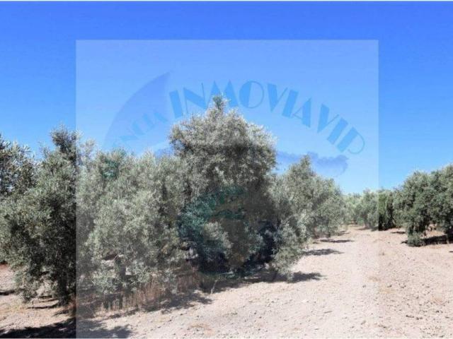 Terreno en venta en Encinas Reales, Andalucía