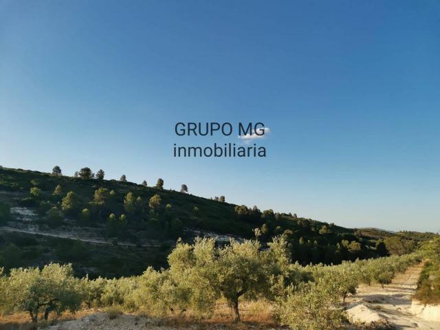 Terreno en venta en La Canal de Navarrés, Valencia