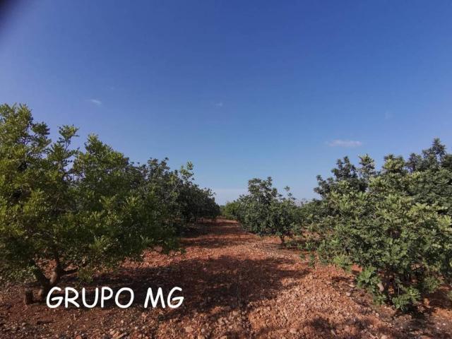 Terreno en venta en Enguera, València / Valencia