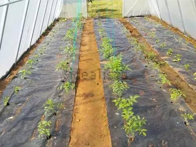 Terreno en venta en Entrambasaguas, Cantabria