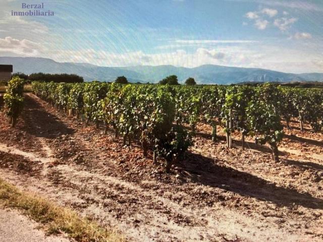 Terreno en venta en Entrena, La Rioja