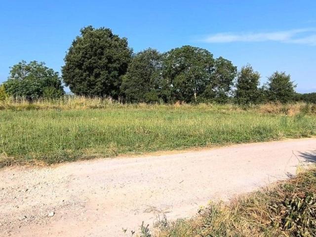 Terreno en venta en Entrena, La Rioja