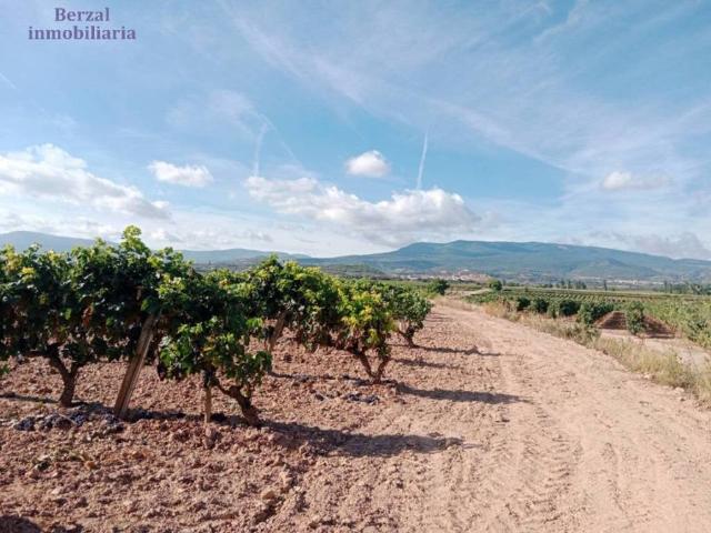 Terreno en venta en Entrena, La Rioja