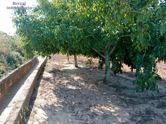 Terreno en venta en Entrena, La Rioja