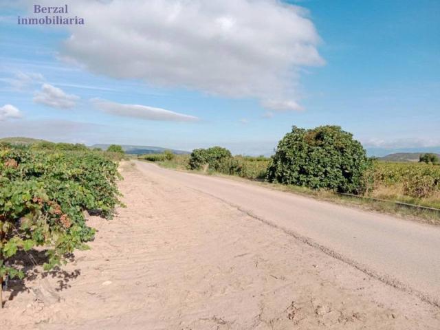 Terreno en venta en Entrena, La Rioja