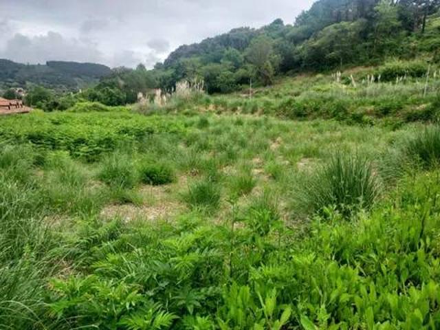 Terreno en venta en Erandiogoikoa, Erandio