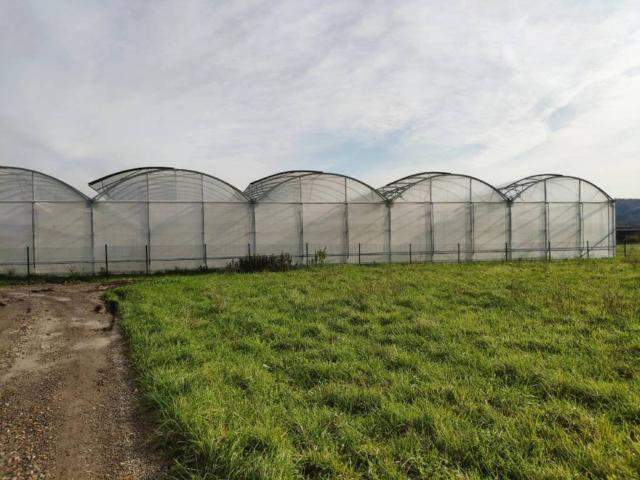 Terreno en venta en Erandio, Guipúzcoa