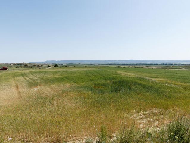 Terreno en venta en Cinco Villas, Aragón