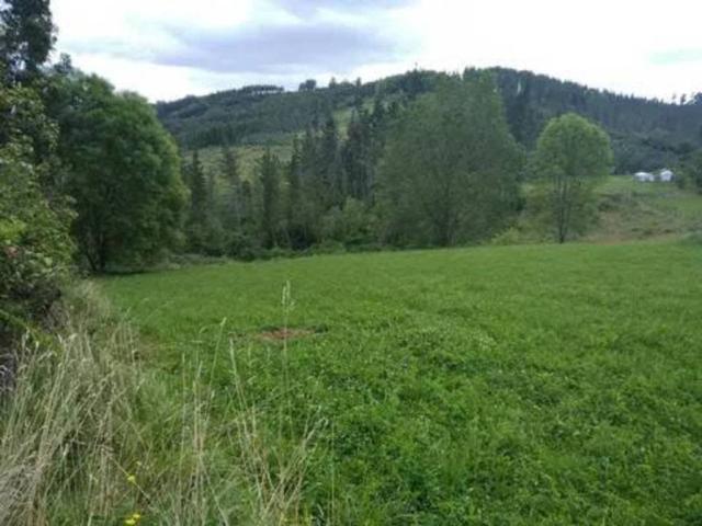 Terreno en venta en Errigoiti, Guipúzcoa