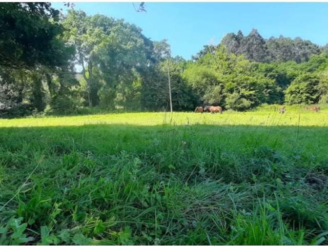 Terreno en venta en Escalante, Cantabria