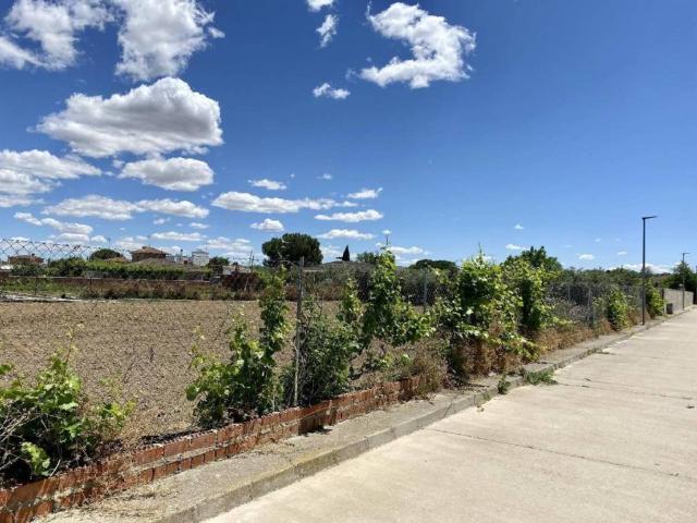 Terreno en venta en Escalona, Castilla-La Mancha