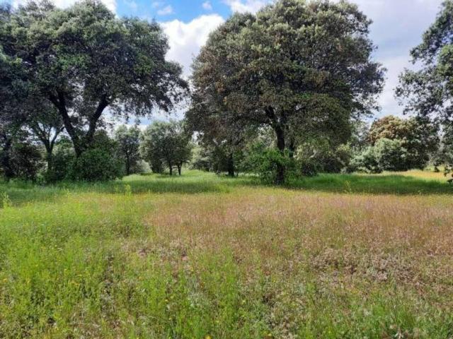 Terreno en venta en Escalona, Castilla-La Mancha