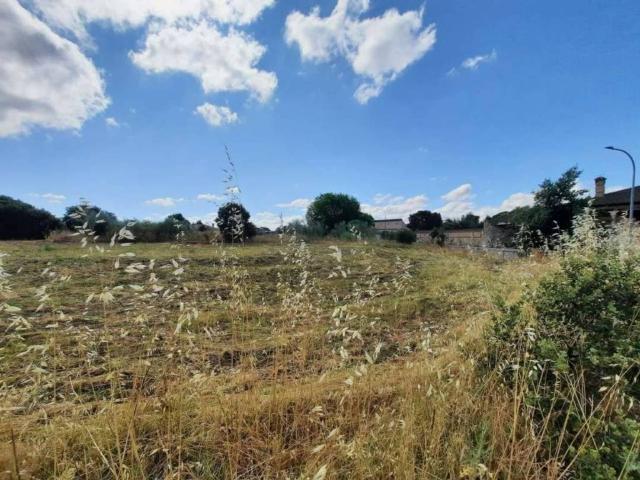 Terreno en venta en Escalona, Castilla-La Mancha