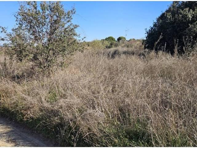 Terreno en venta en Escalona, Castilla-La Mancha