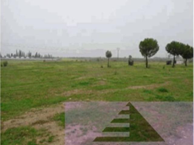 Terreno en venta en Primie/Los Cuervos, Escalona