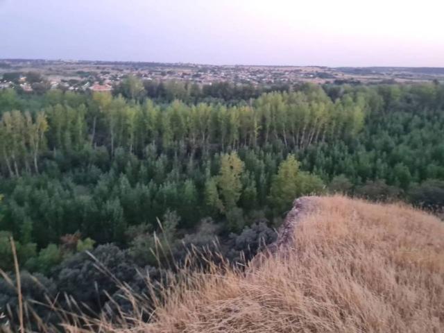 Terreno en venta en Escalona, Castilla-La Mancha