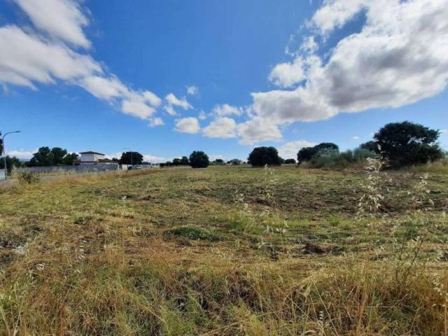 Terreno en venta en Escalona, Castilla-La Mancha