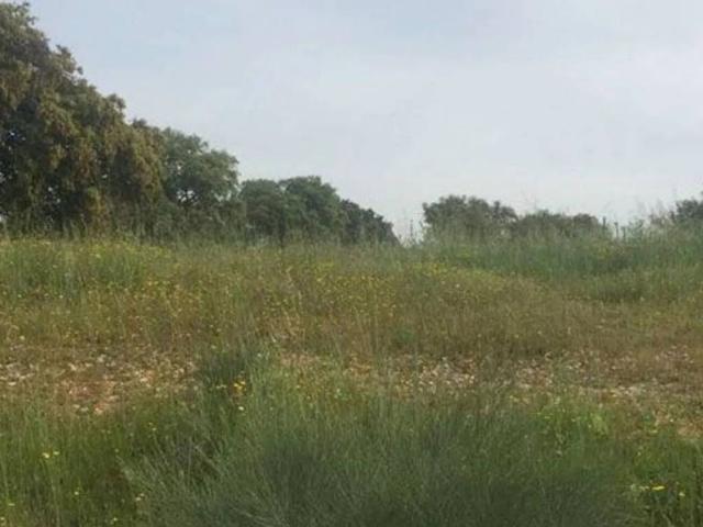 Terreno en venta en Castillo de Escalona, Escalona