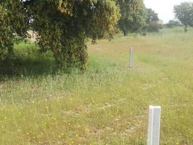 Terreno en venta en Vega de Escalona, Escalona