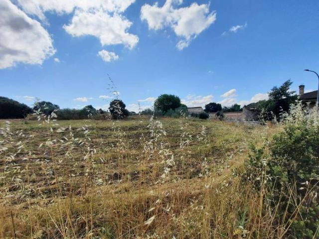 Terreno en venta en Escalona, Castilla-La Mancha