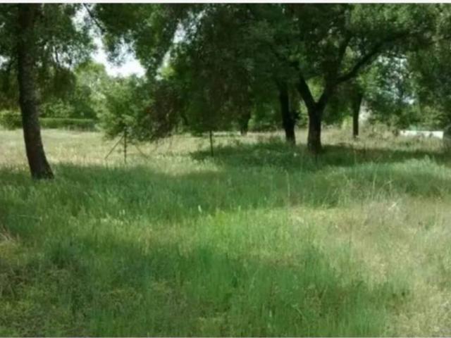 Terreno en venta en Escalona, Castilla-La Mancha