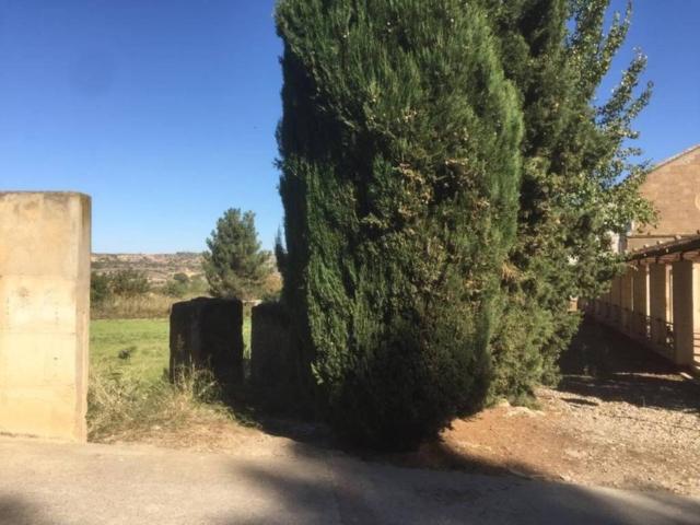 Terreno en venta en Ribera Baja del Ebro, Aragón