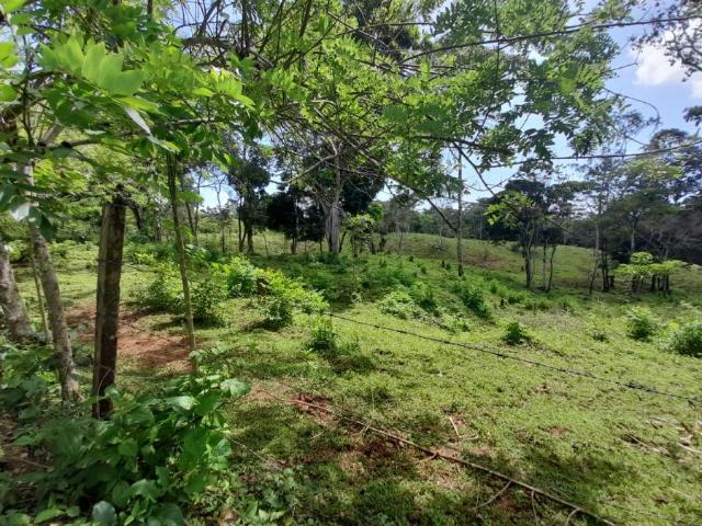 Terreno venta en Escobal, Colón