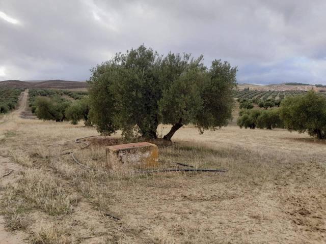 Terreno en venta en Comarca de Alhama, Andalucía