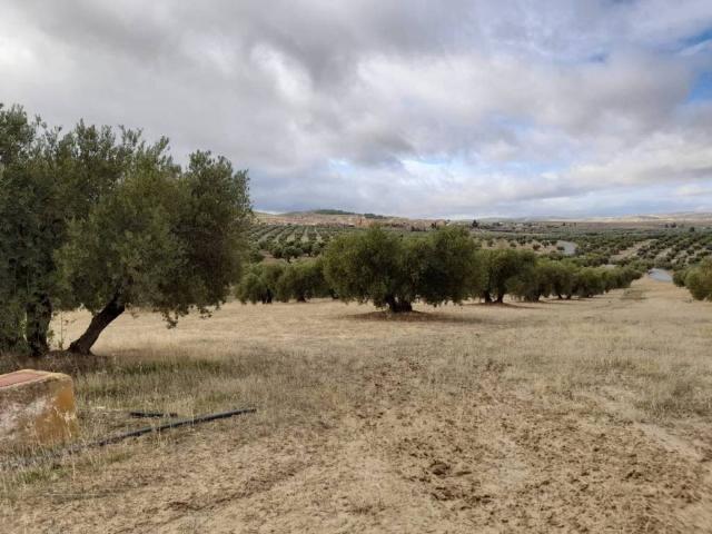 Terreno en venta en Escúzar, Granada