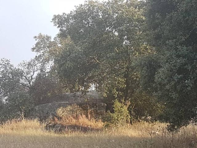 Terreno en venta en Esparragalejo