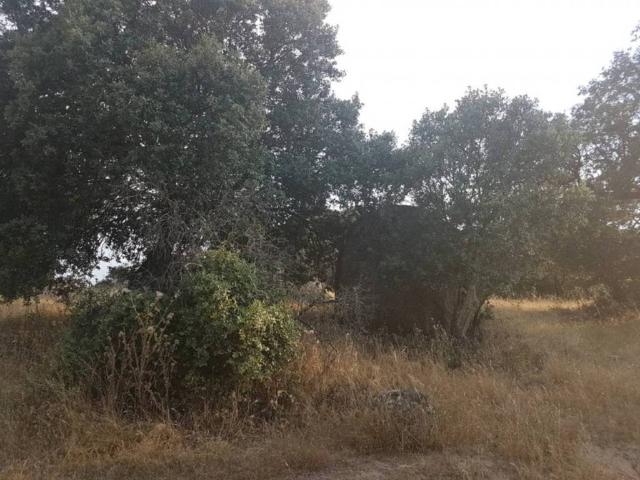 Terreno en venta en Esparragalejo, Extremadura