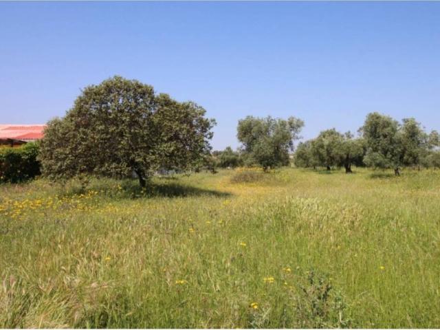 Terreno en venta en Esparragalejo, Extremadura