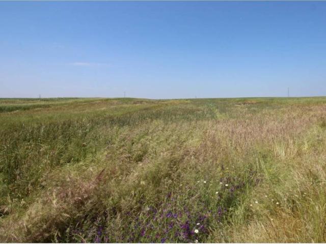 Terreno en venta en Esparragalejo