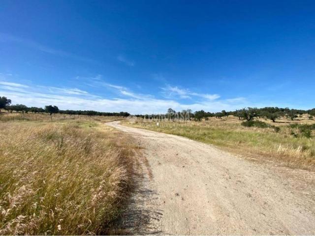 Terreno en venta en Esparragalejo, Badajoz