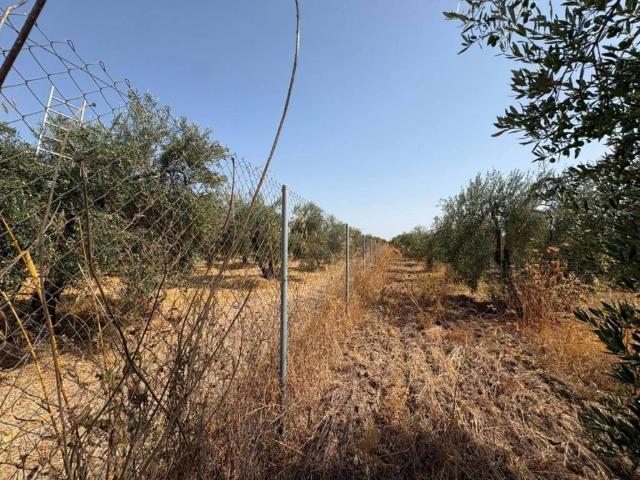 Terreno en venta en Espartinas, Andalucía