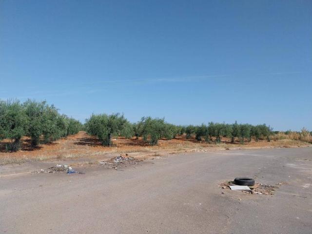 Terreno en venta en Monte Alto, Espartinas